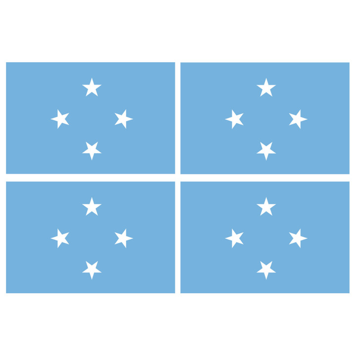 Drapeau Micronésie (4 fois 9.5x6.3cm) - Sticker/autocollant