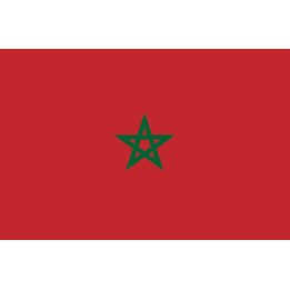 Drapeau Maroc (19.5x13cm) - Sticker/autocollant