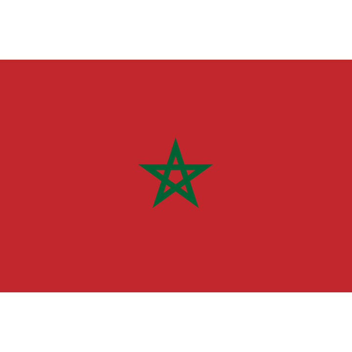 Drapeau Maroc (19.5x13cm) - Sticker/autocollant