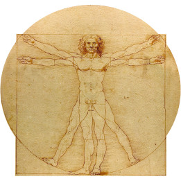 L'homme de Vitruve (10x9.5cm) - Sticker/autocollant