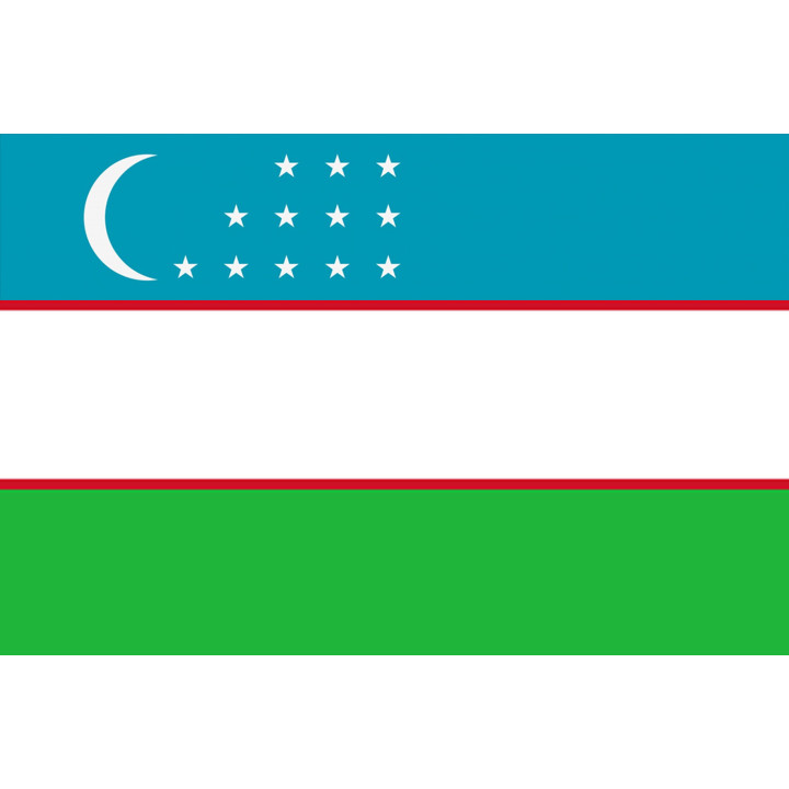 Drapeau Ouzbékistan (15x10cm) - Sticker/autocollant