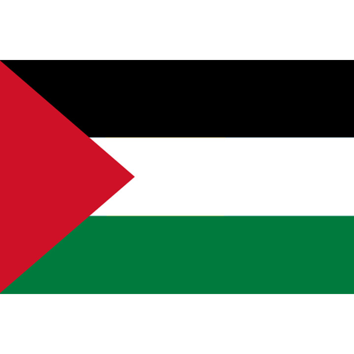 Drapeau Palestine (19.5x13cm) - Sticker/autocollant