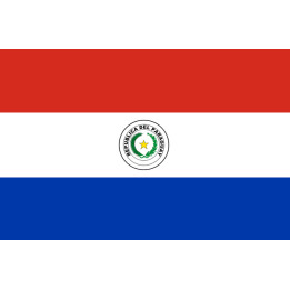 Drapeau Paraguay (15x10cm) - Sticker/autocollant