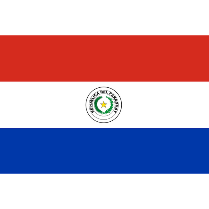 Drapeau Paraguay (15x10cm) - Sticker/autocollant