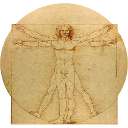 L'homme de Vitruve (20x19cm) - Sticker/autocollant