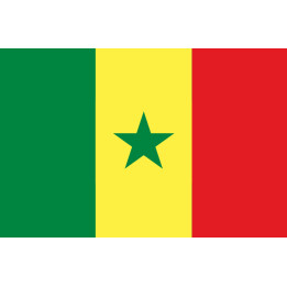 Drapeau Sénégal (15x10cm) - Sticker/autocollant
