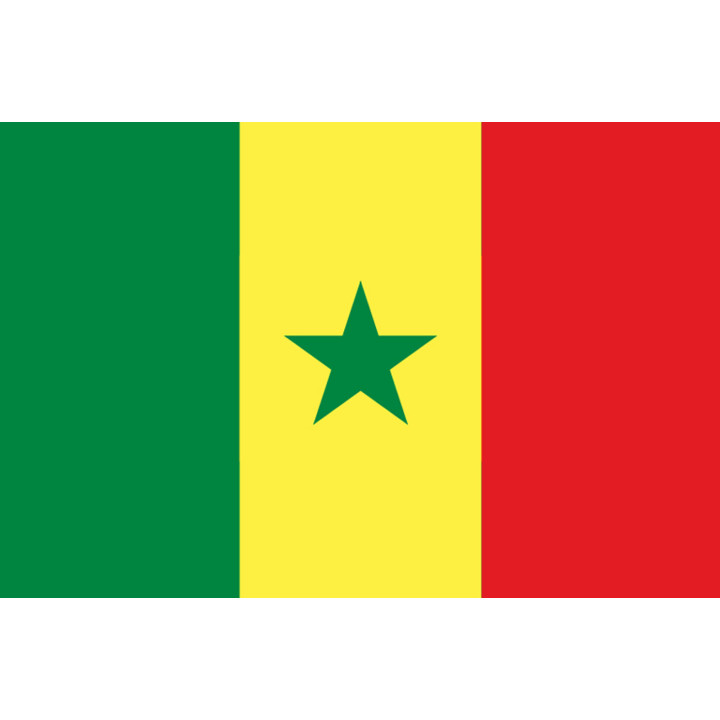 Drapeau Sénégal (15x10cm) - Sticker/autocollant