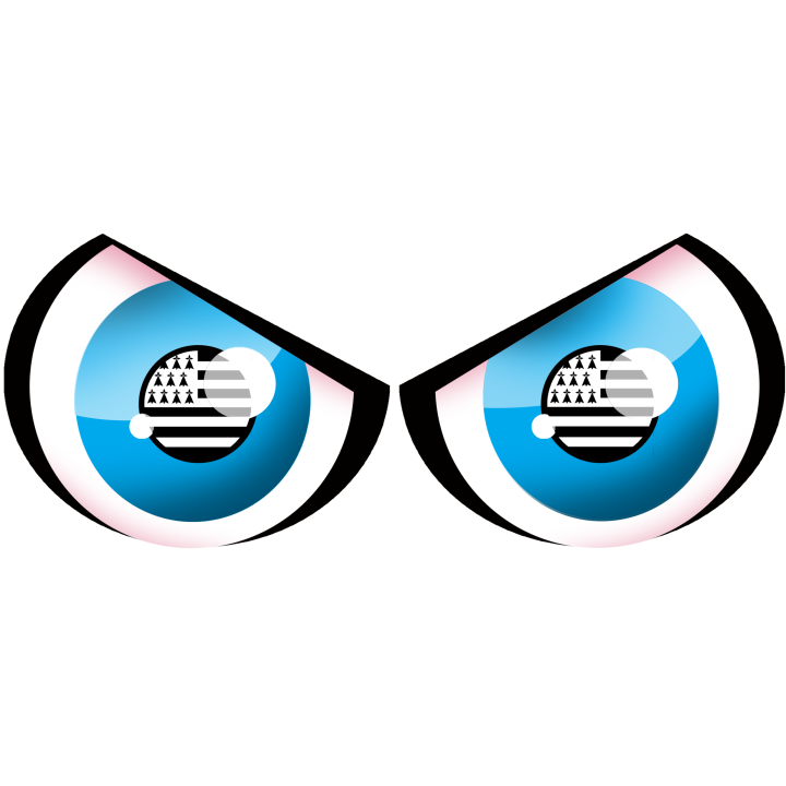 yeux drapeau breton (20x8cm) - Sticker/autocollant