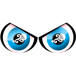 yeux breton triskel (20x8cm) - Sticker/autocollant