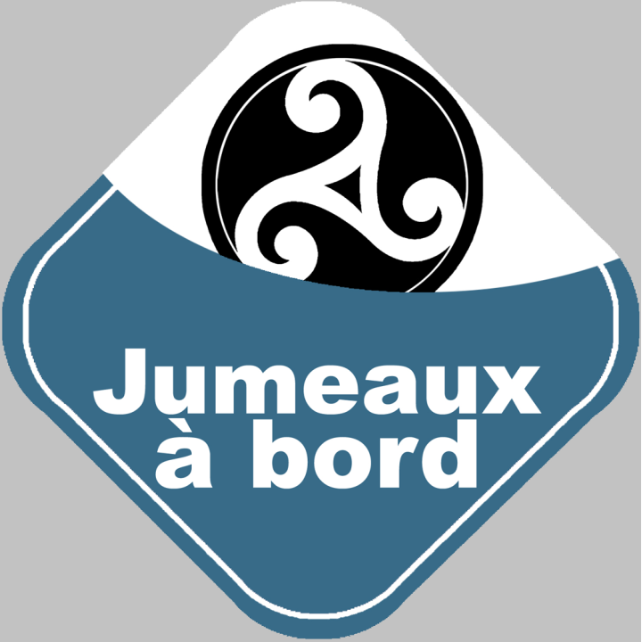 bébés à bord jumeaux triskel (15x15cm) - Sticker/autocollant