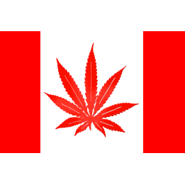 Drapeau canada canabis (5x3.3cm) - Sticker/autocollant