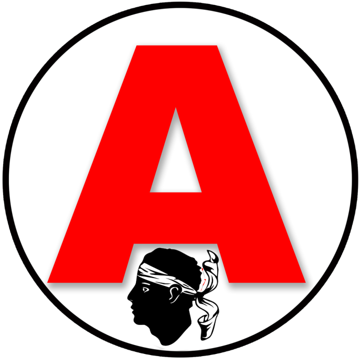 A jeune conducteur Corse - 15cm - Sticker/autocollant