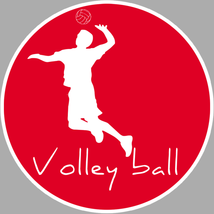 Volley ball - 20cm - Sticker/autocollant