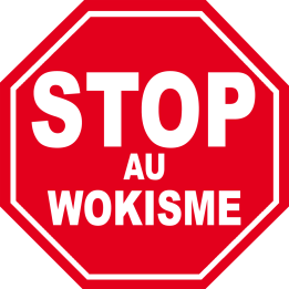 wokisme STOP (20x20cm) - Sticker/autocollant