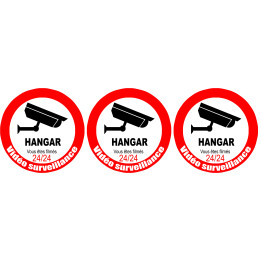 vidéo surveillance HANGAR - 3fois 5cm - Sticker/autocollant