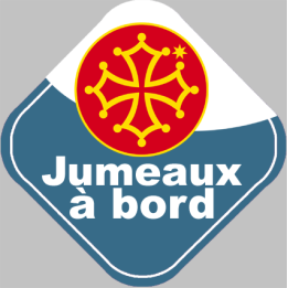 bébé à bord jumeaux Occitans - 15cm - Sticker/autocollant