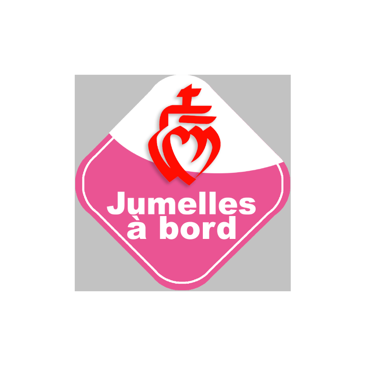 bébés à bord jumelles vendéennes - 15cm - Sticker/autocollant