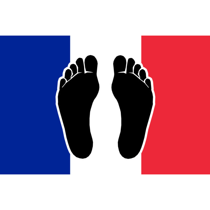 Pieds noirs drapeau Français - 20x13cm - Sticker/autocollant