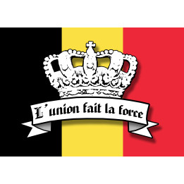 L'union fait la force - 15x10.5cm - Sticker/autocollant
