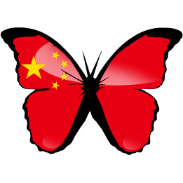 Effet papillon Chinois - 15x10.5cm - Sticker/autocollant