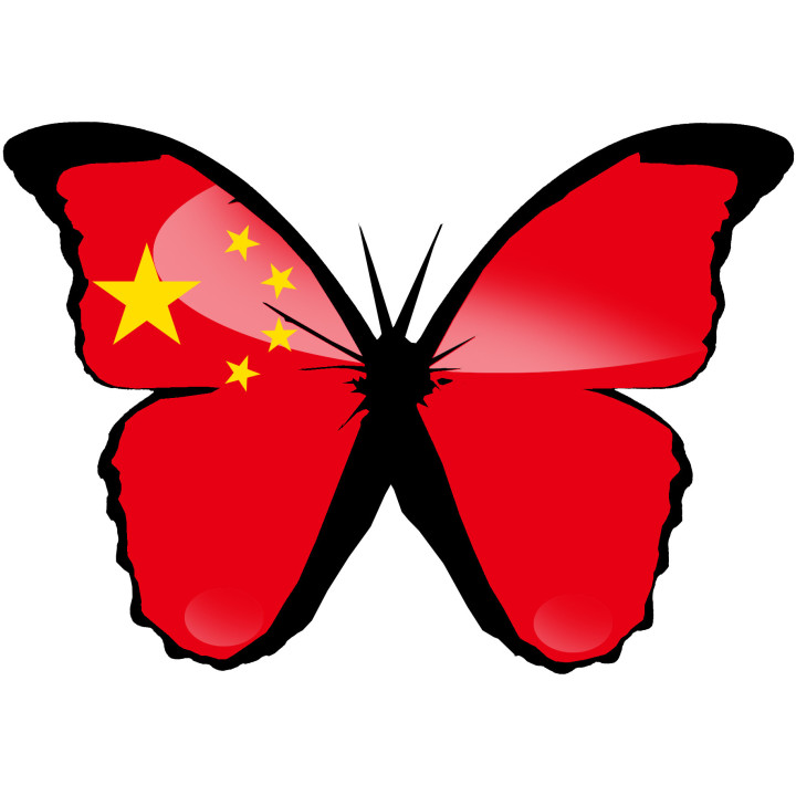Effet papillon Chinois - 15x10.5cm - Sticker/autocollant