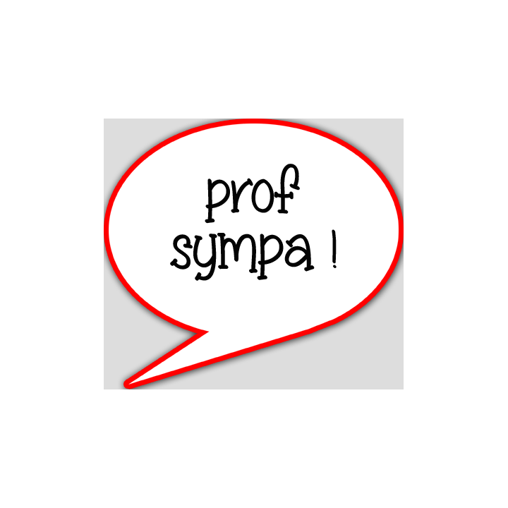 prof sympa - 15x13.5cm - sticker/autocollant