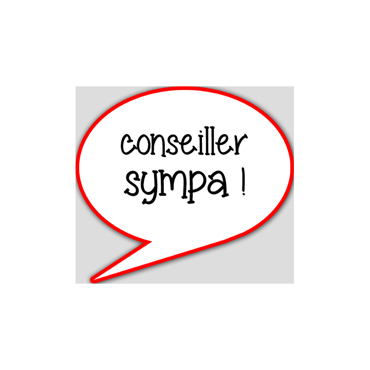 conseiller sympa - 10x9cm - sticker/autocollant