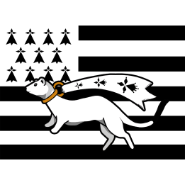 Drapeau Bretagne Hermine - 5x3.3cm - Sticker/autocollant