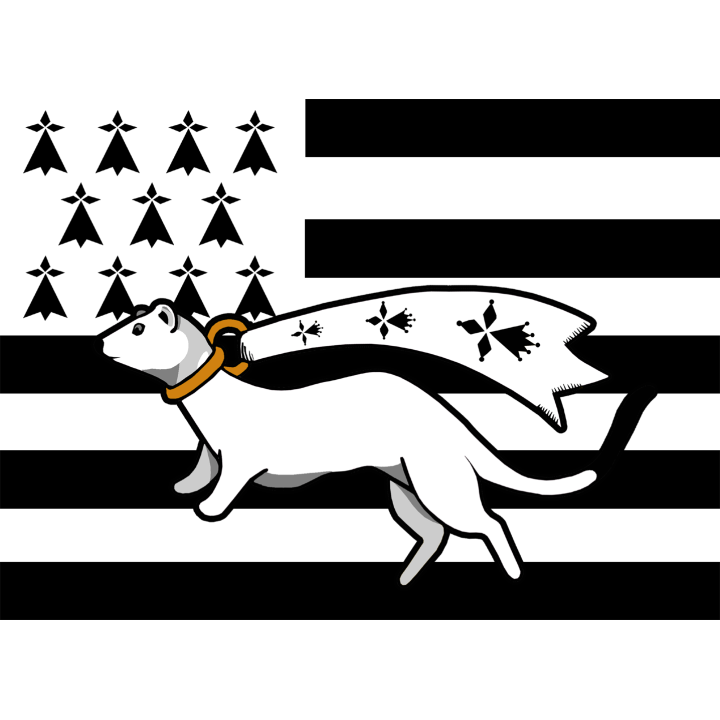 Drapeau Bretagne Hermine - 5x3.3cm - Sticker/autocollant