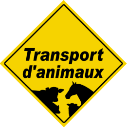 Transport d'animaux - 15x15cm - Sticker/autocollant