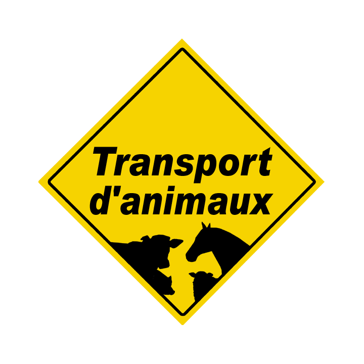 Transport d'animaux - 15x15cm - Sticker/autocollant