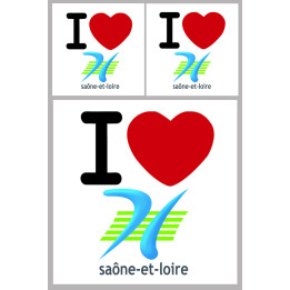département de la Saône et Loire - 1fois 10cm - 2fois 5cm - Sticker/