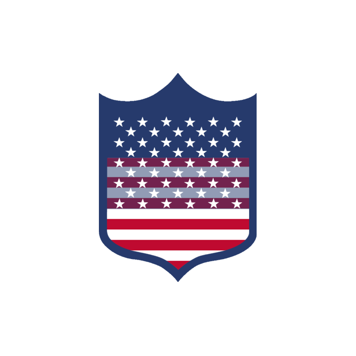 Blason USA - 20x15cm -Sticker/autocollant