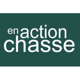 Stickers / autocollant "en action de chasse"