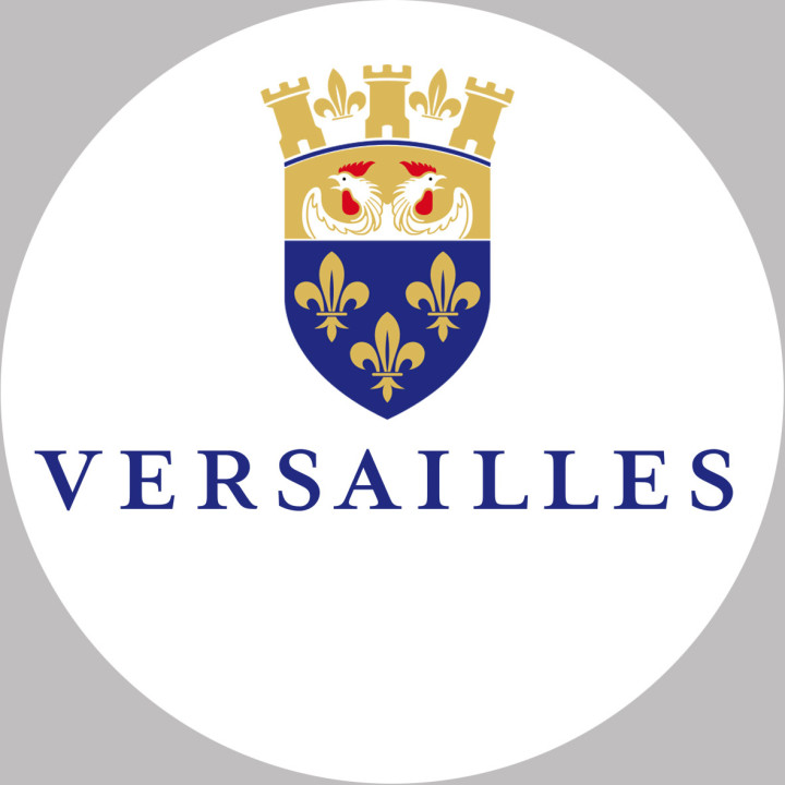Versailles - 5x5cm - Sticker/autocollant