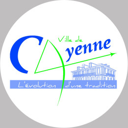 Cayenne - 20x20cm - Sticker/autocollant