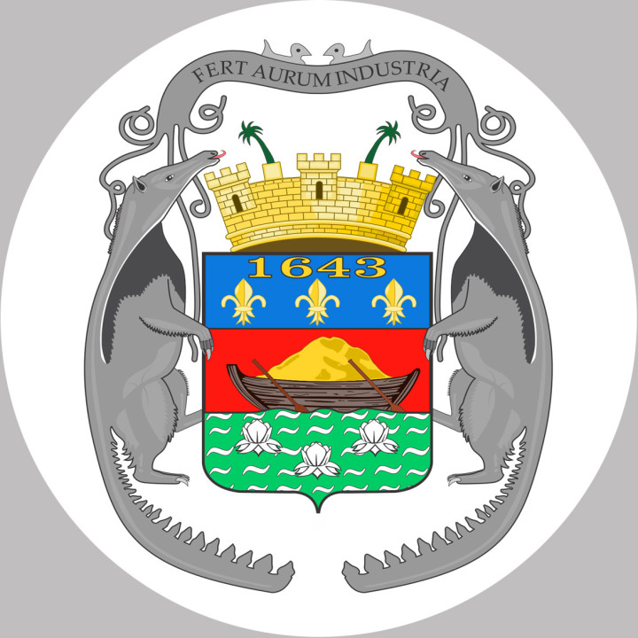 Cayenne blason - 20x20cm - Sticker/autocollant