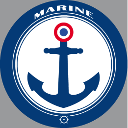 Ancre marine France - 20x20cm - Sticker/autocollant