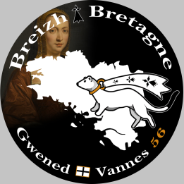 Gwened Vannes - 20x20cm - Sticker/autocollant