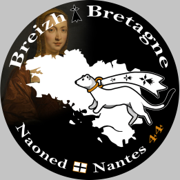 Naoned Nantes - 20x20cm - Sticker/autocollant