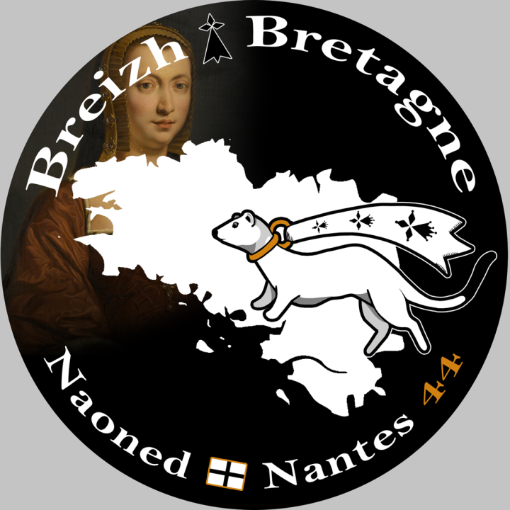 Naoned Nantes - 20x20cm - Sticker/autocollant