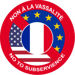 Non à la vassalité de la France - 10x10cm - Sticker/autocollant