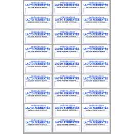 27 étiquettes préparation lacto-fermentée - 6x3cm - Sticker/autocollant