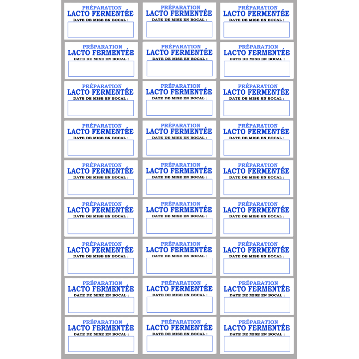 27 étiquettes préparation lacto-fermentée - 6x3cm - Sticker/autocollant