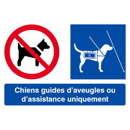 Interdit Sauf Chiens Guides (29x20cm) - Sticker / autocollant