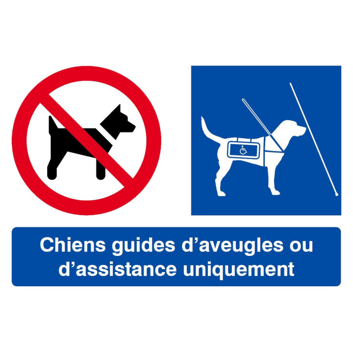 Interdit Sauf Chiens Guides (29x20cm) - Sticker / autocollant