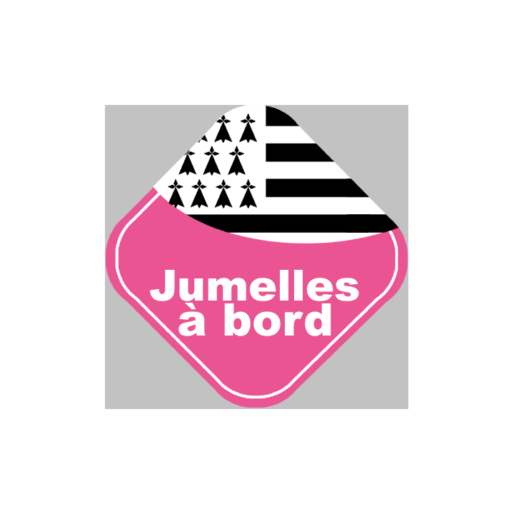  bébés à bord jumelles bretonnes