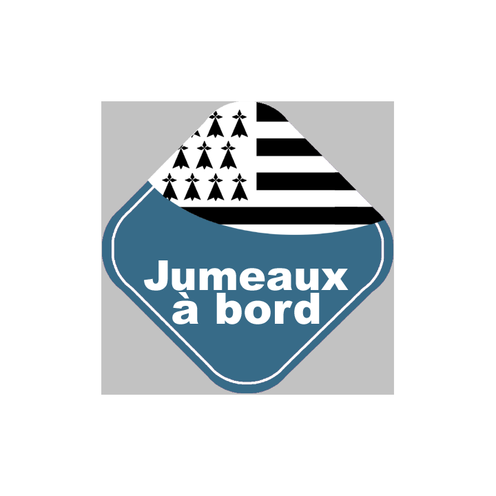 bébés à bord jumeaux bretons