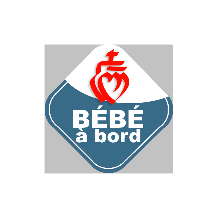 bébés à bord jumeaux vendéen