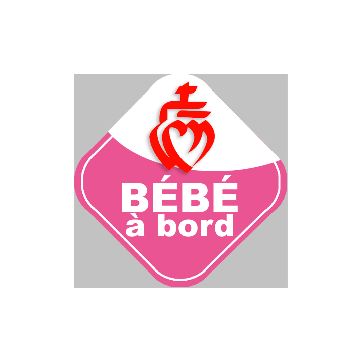 bébés à bord jumeaux vendéen
